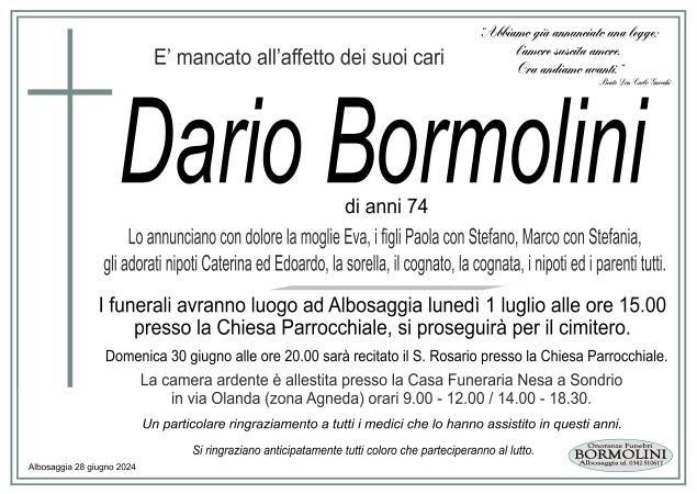 Necrologio Dario Bormolini